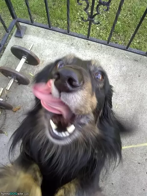 Rawrrraaggghh