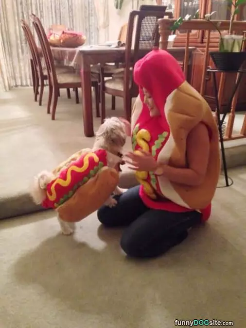 Hot Dogs