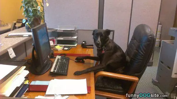 Serious Business