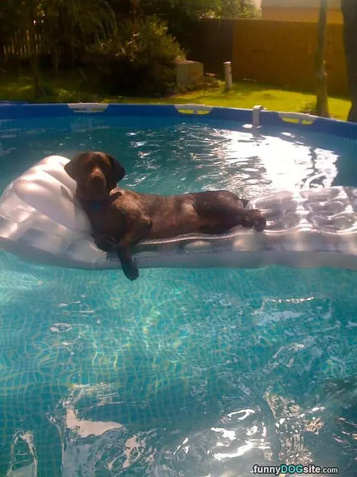 Lounging In The Pool