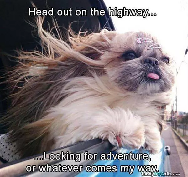 Head Out On The Highway