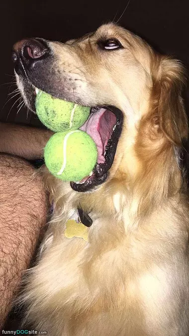 Fetched 2 Balls