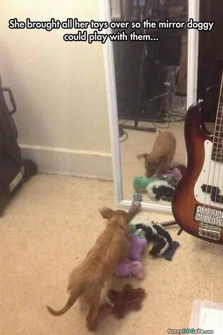 Play With Me Friend