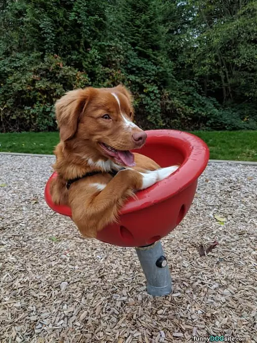 Just Chillin