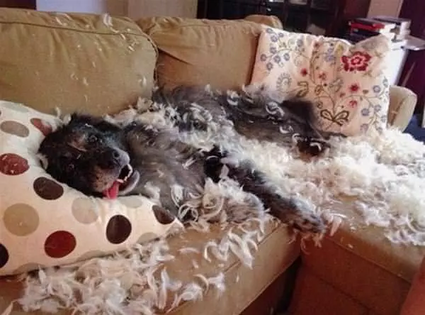 Made My Fluffy Bed