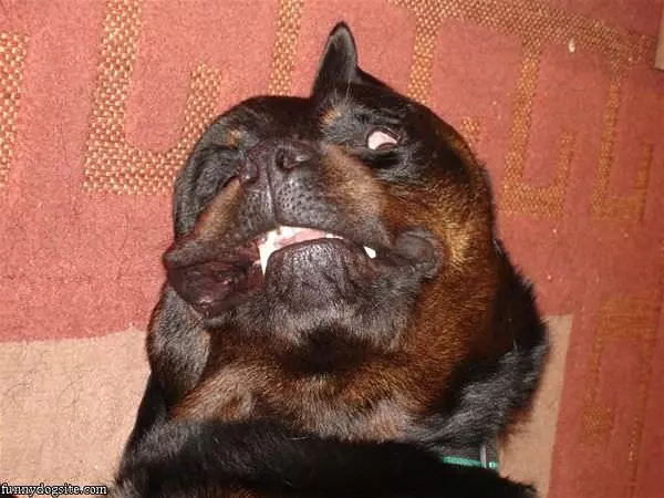 Making Great Faces