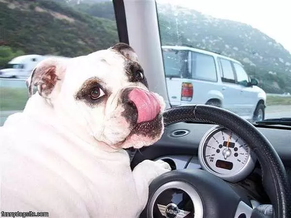 Im Driving