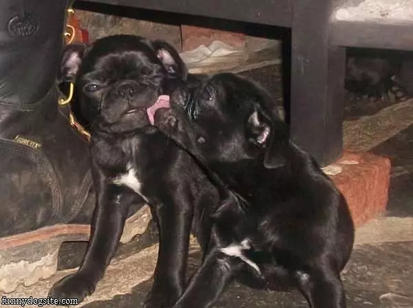 Let Me Get That For You