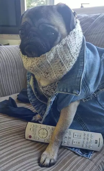 The Cold Wont Get To Me