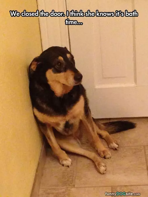 Scared Of Bath Time
