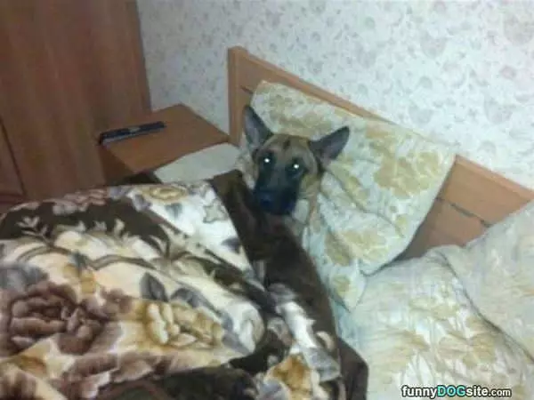Tucked In Already