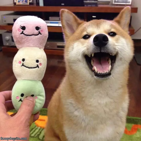 Hahaha You Make Me Smile