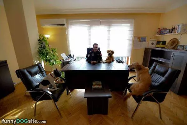 Having A Meeting