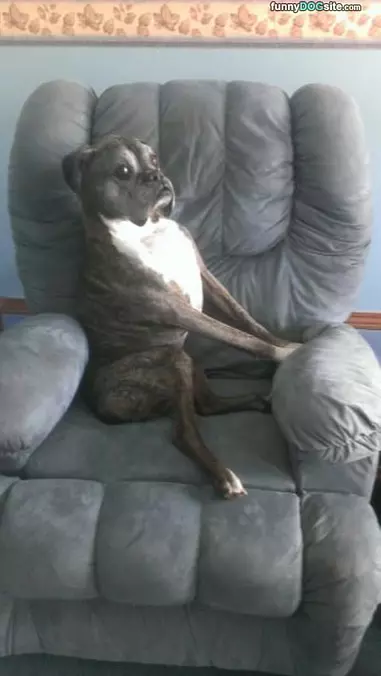 Posing For My Picture