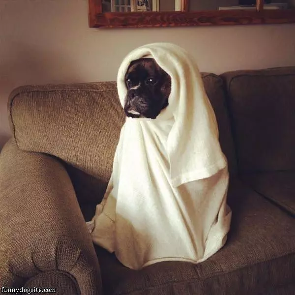 I Am Ready For Winter