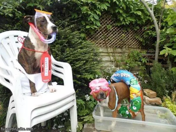 Just A Warm Summer Day