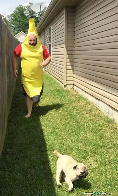 Run For Your Life