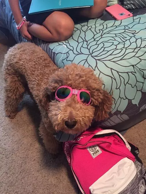 Ready For A Sunny Day
