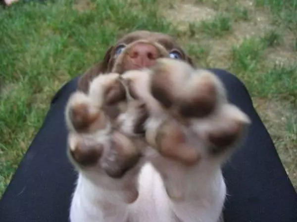 No Dont Look