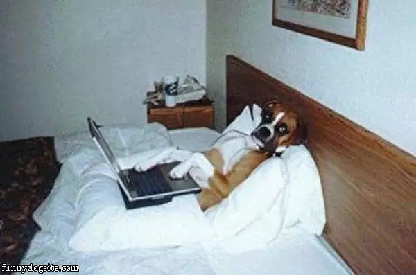Just Getting Some Work Done