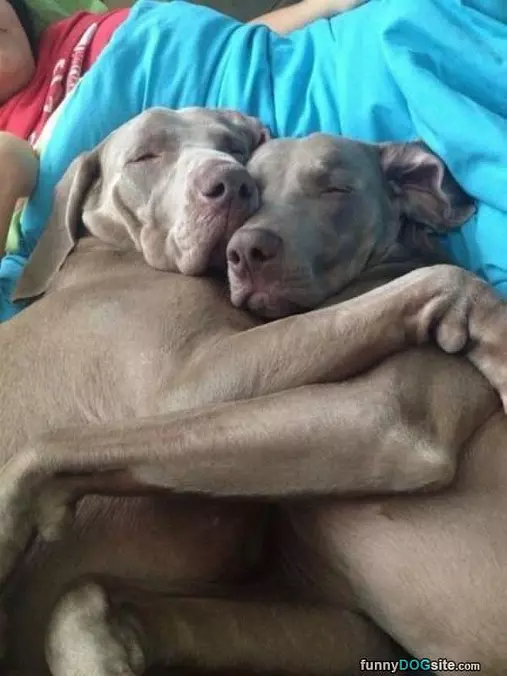 Hug It Out