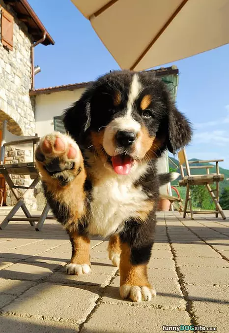 Hey High 5 Me