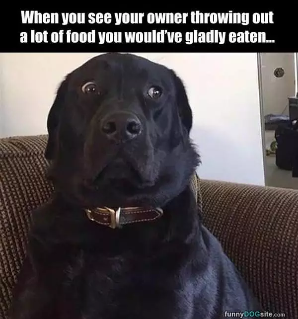 Why Are You Throwiong That Away