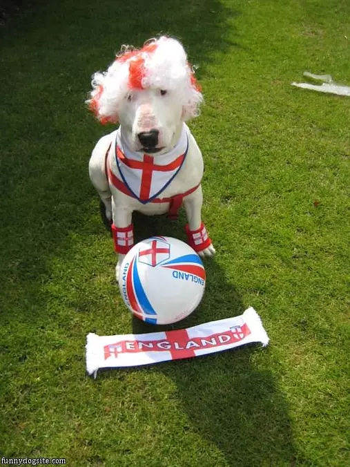 Football Lucy
