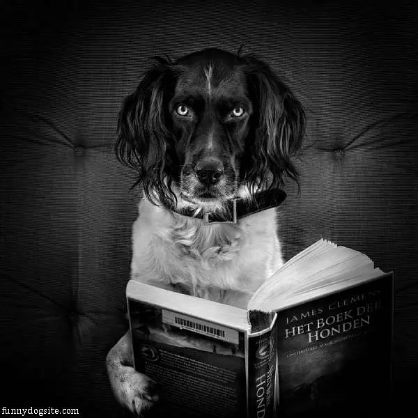 Reading