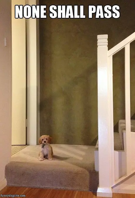 None Shall Pass