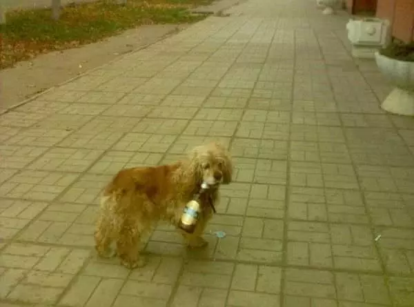 I Got A Beer