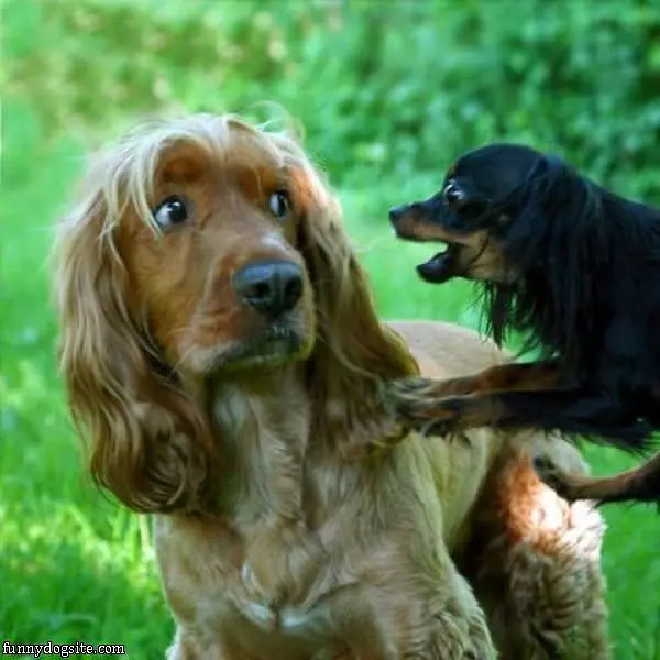 Hey Man Get Away From Me