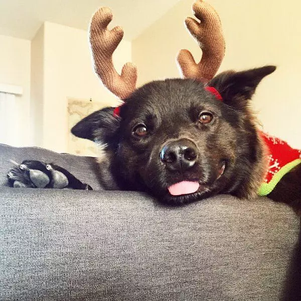 Reindeer Games
