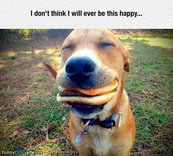 This Happy