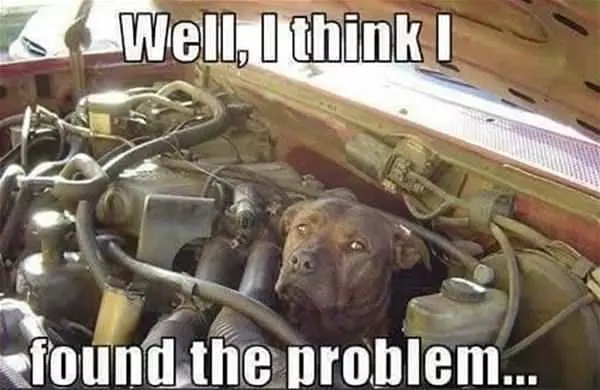 Found Your Problem
