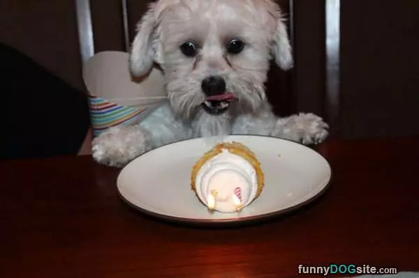 It Is My Birthday