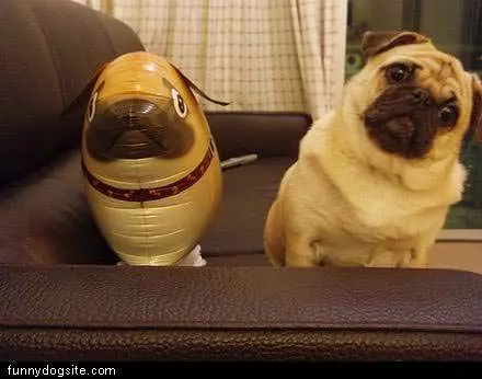Pug Balloon