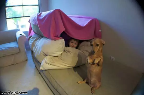 Protecting The Fort Dog