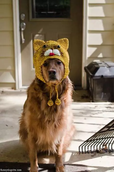 Do You Like My Costume