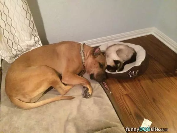 Hanging Out Together