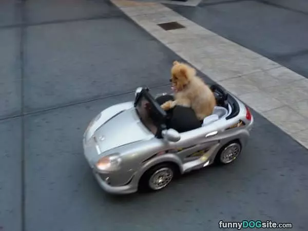 Drive Faster