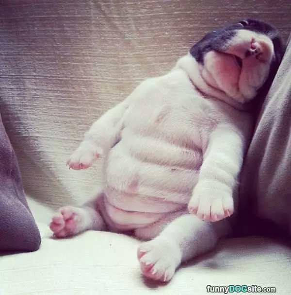 Sooo Passed Out