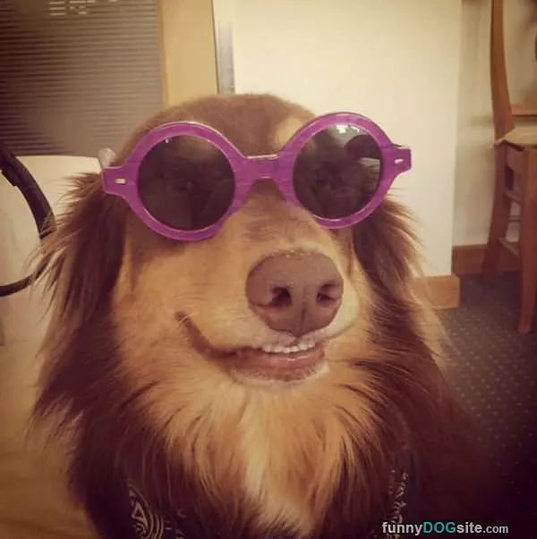 Do You Like My Glasses