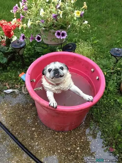 Oh Its A Bath Time