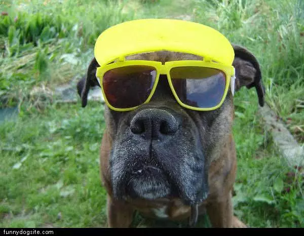 Must Be Bright Outside