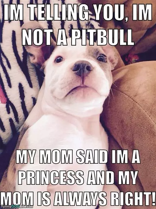 My Mom Said I Am A Princess