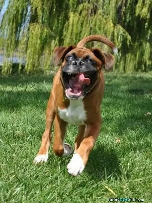 Run Fassster