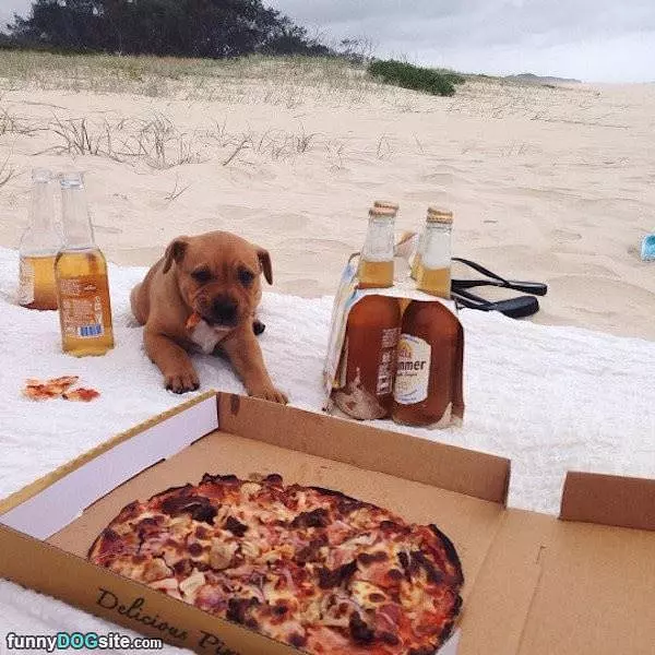 Can I Have Some Please
