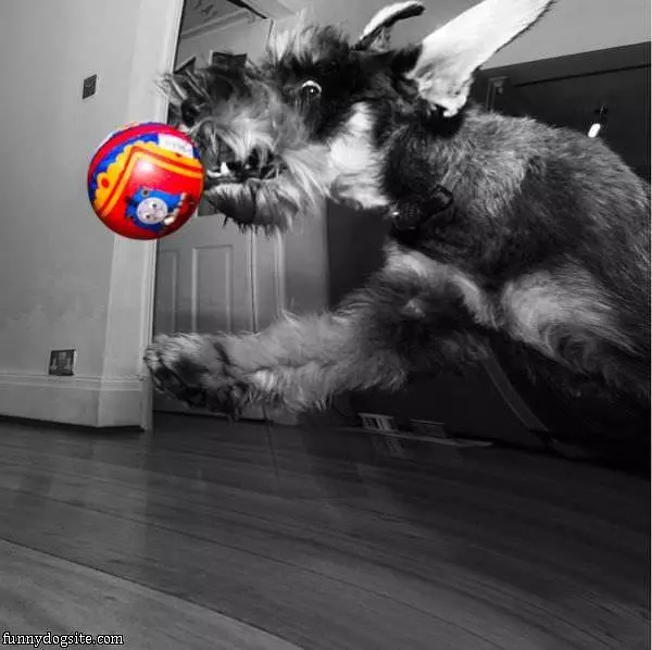 Ball Attack