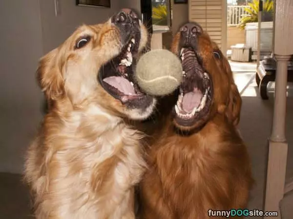 Going For The Same Ball